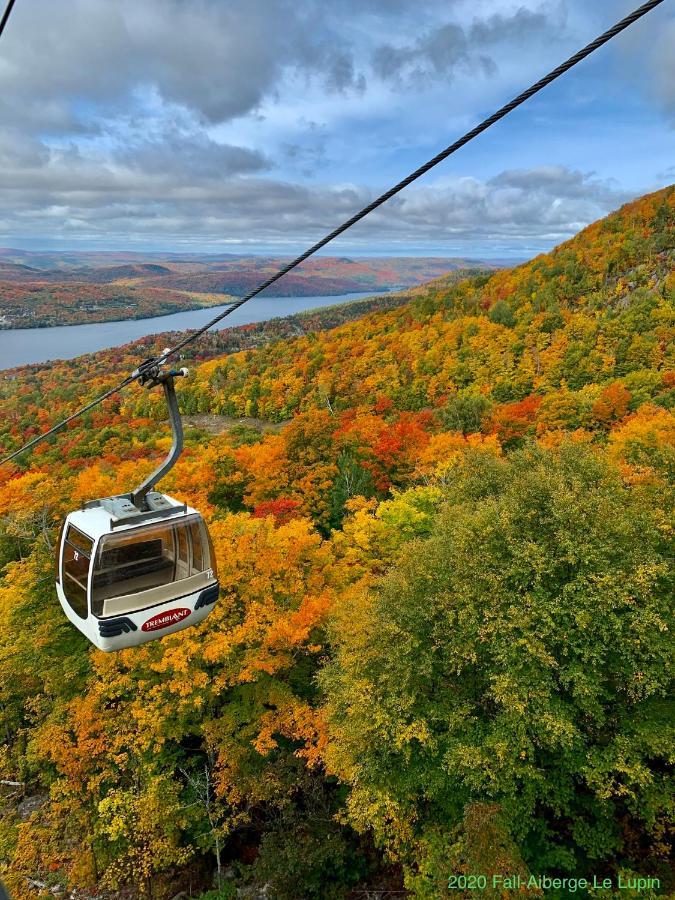Auberge Le Lupin-Self Check-In Mont-Tremblant Exteriér fotografie